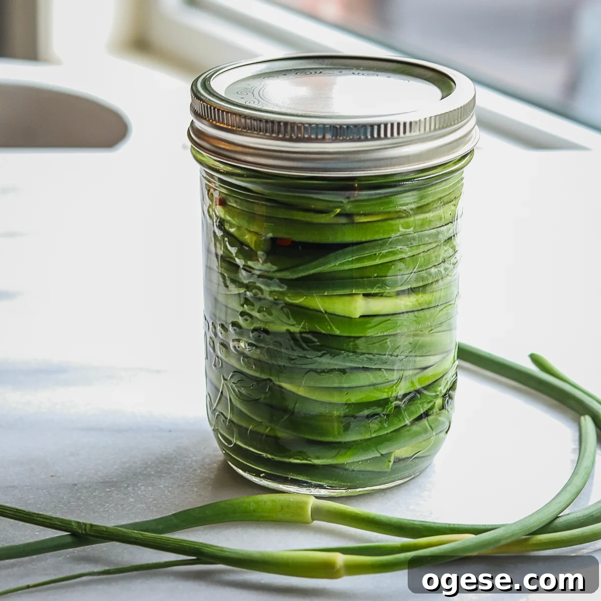 featured 1318
