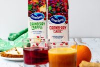 Orange Cranberry Smoothie Recipe with Ocean Spray Juice