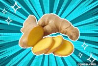 5 Zesty Alternatives to Ginger to Elevate Your Recipes