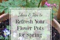 Spring Flower Pot Refresh: Creative Ideas and Plant Tips