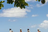 Oʻahu Bike Tours: Explore the Island by Bicycle