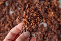 Homemade Chocolate Granola Recipe for Crispy Cocoa Clusters