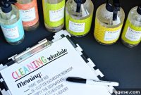 Printable Daily Cleaning Schedule to Stay Organized Each Day