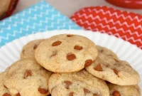 Cinnamon Chip Snickerdoodle Cookies with Melting Chocolate Chips