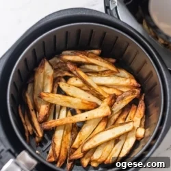 Air Fryer Homemade Air Fried French Fries Recipe @bestrecipebox