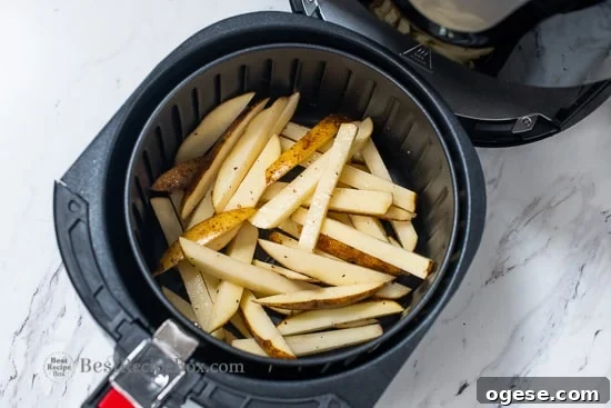 uncooked fries in the air fryer