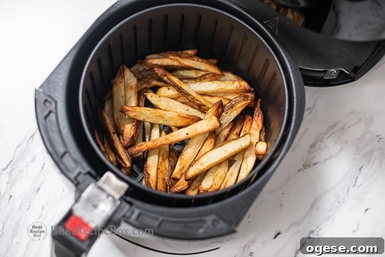Cooked fries in the air fryer basket