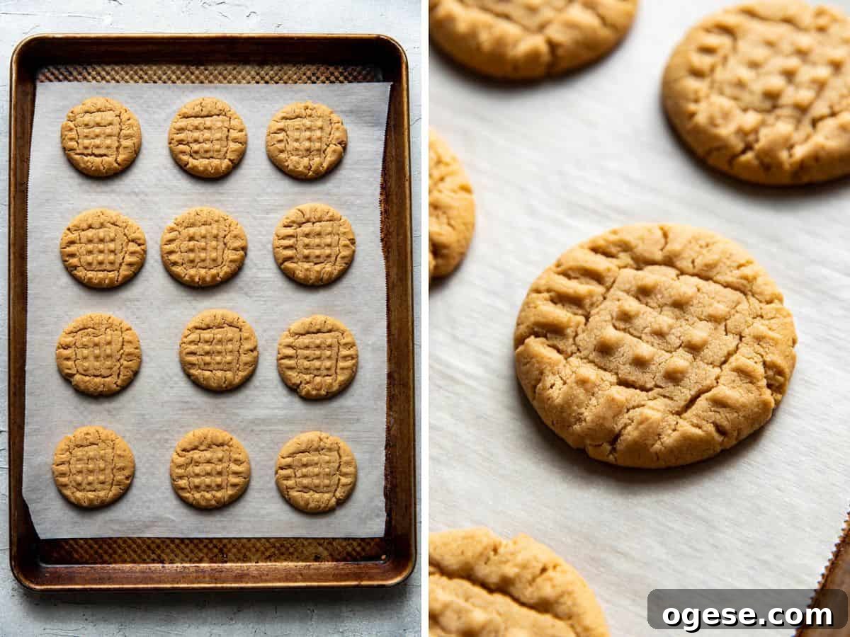Chewy Peanut Butter Cookie Recipe for Perfect Cookies 6 img 10300 5