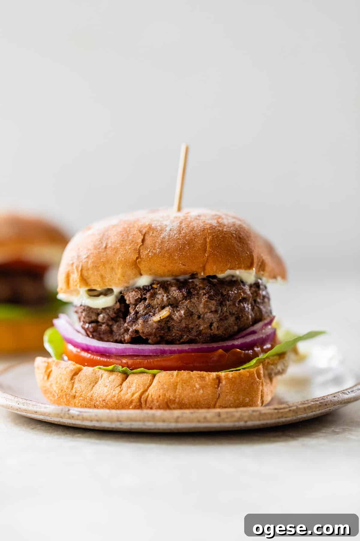 Juicy Grilled Bison Burgers with Smoky Onion Jam 5 bison burger on a bun with lettuce, tomato and onion on a plate