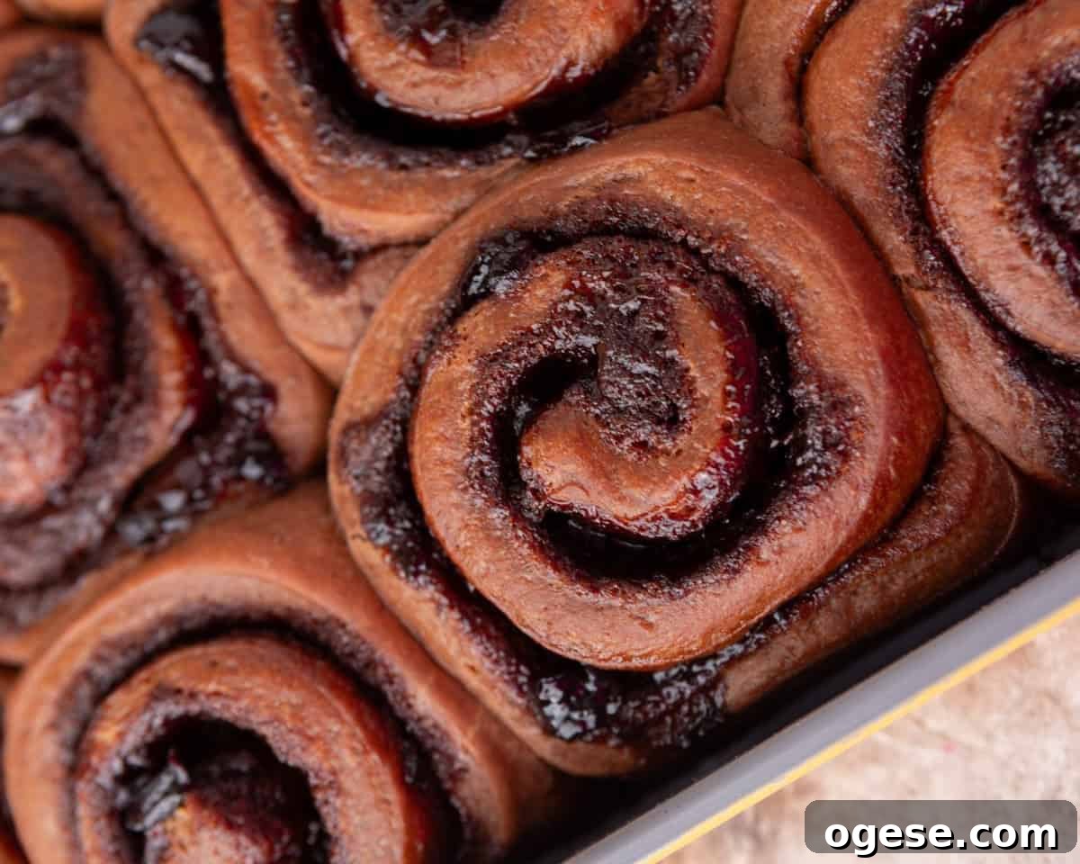 Baked Black Forest cinnamon rolls with chocolate dough and cherry filling before frosting