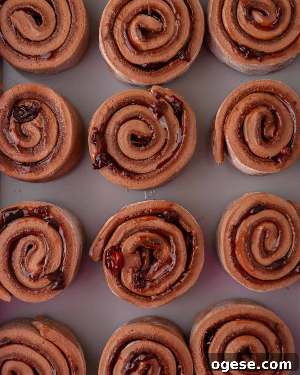 Unbaked Black Forest cinnamon rolls filled with chocolate and cherry filling