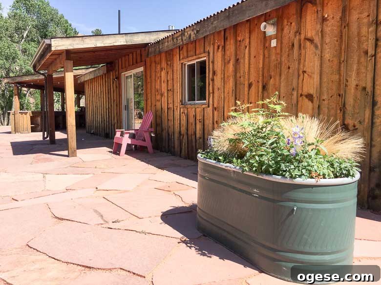 Colorado Wedding Estes Park Planet Bluegrass Lyons Boulder 780 | Umami Girl