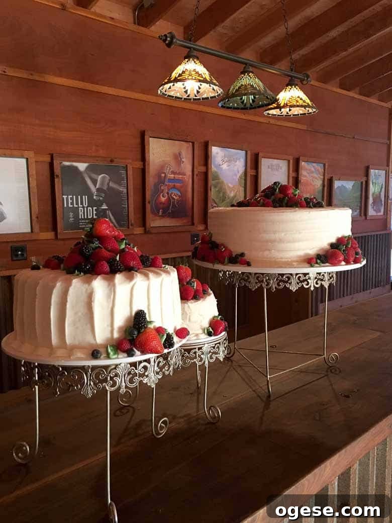 Colorado Wedding Estes Park Planet Bluegrass Lyons Boulder 780 | Umami Girl