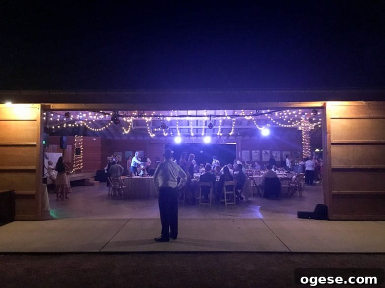 Colorado Wedding Estes Park Planet Bluegrass Lyons Boulder 780 | Umami Girl