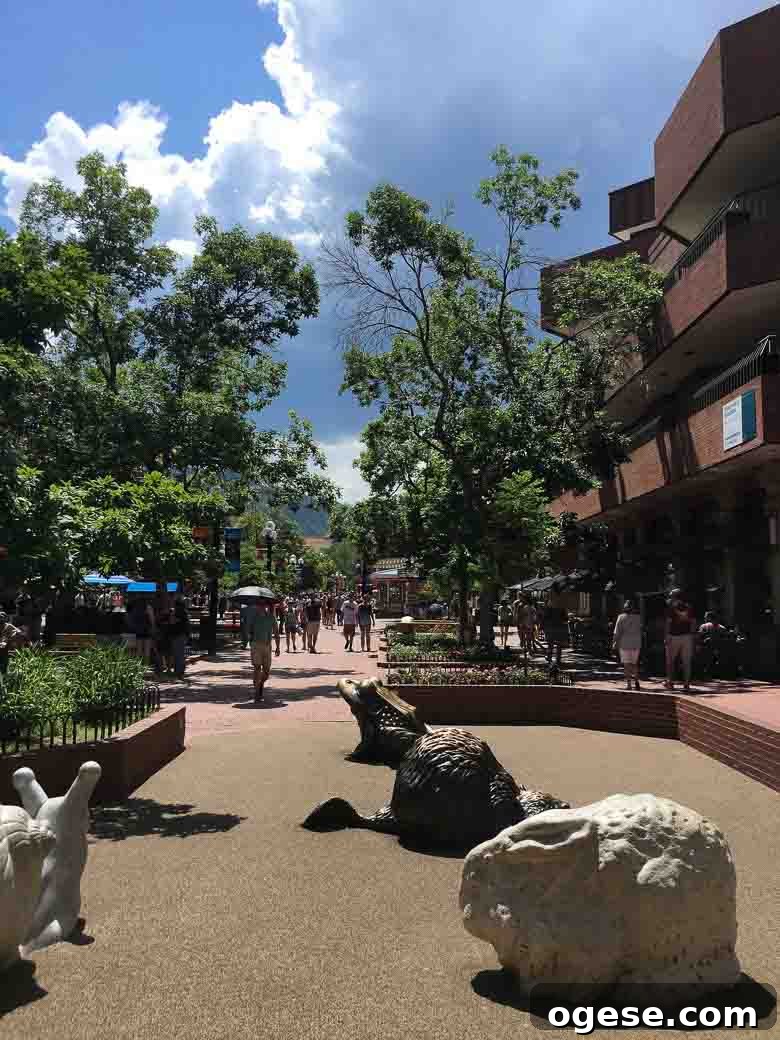 Colorado Wedding Estes Park Planet Bluegrass Lyons Boulder 780 | Umami Girl