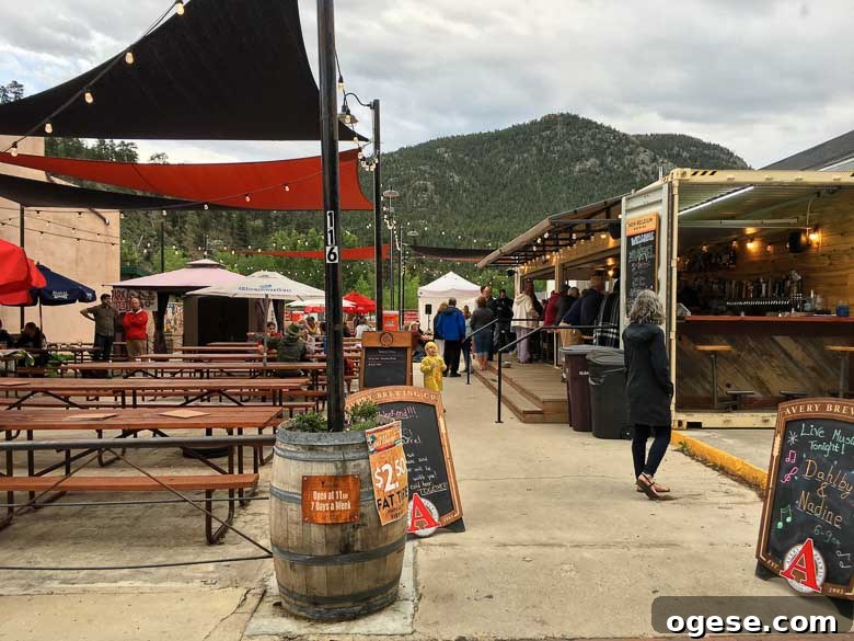 Colorado Wedding Estes Park Planet Bluegrass Lyons Boulder 780 | Umami Girl