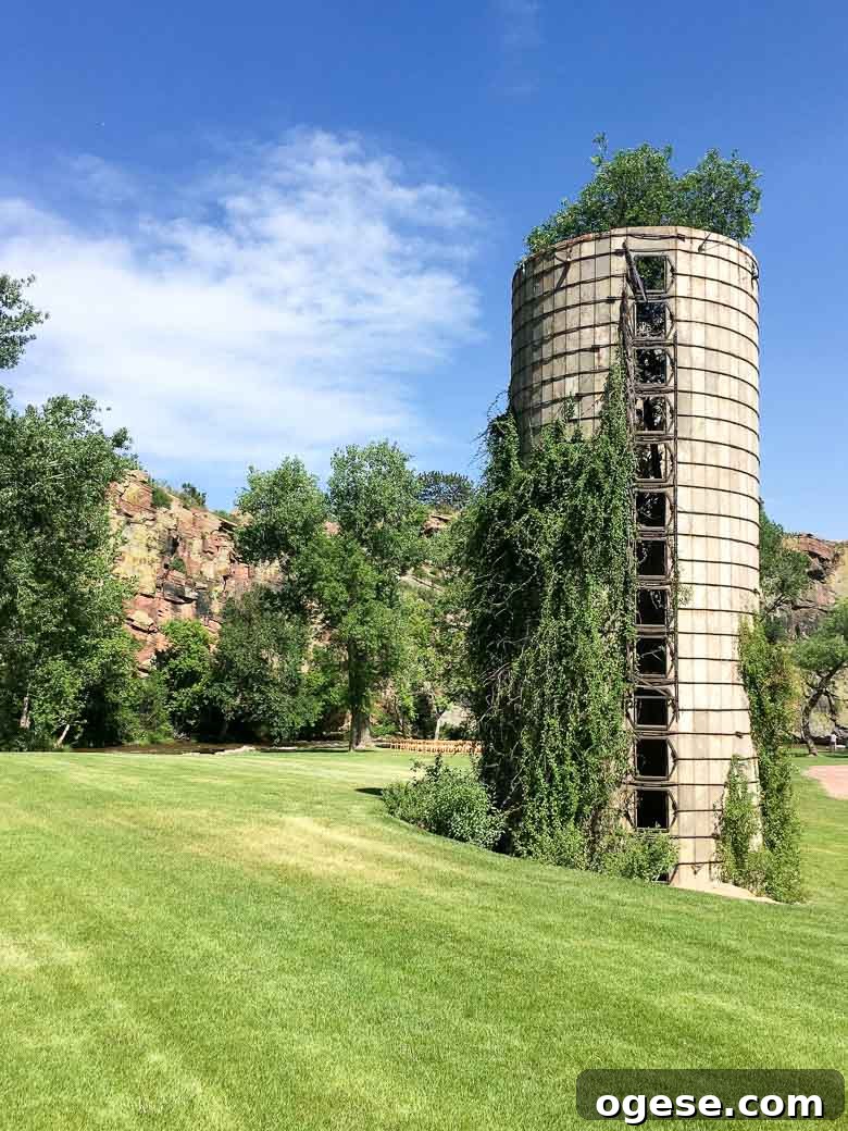 Colorado Wedding Estes Park Planet Bluegrass Lyons Boulder 780 | Umami Girl