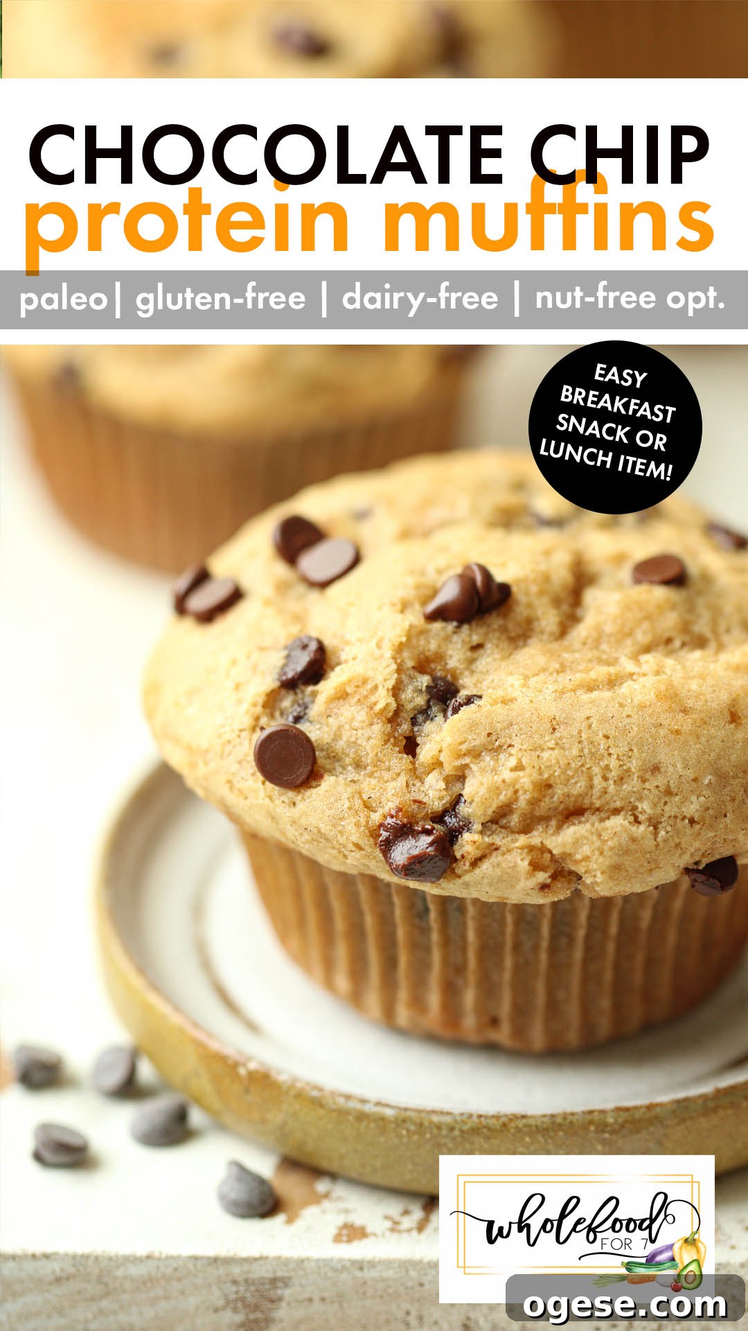 Paleo Chocolate Chip Protein Muffins for Breakfast or Snack 2 Paleo Protein Chocolate Chip Muffins - A gluten-free, dairy-free recipe with a nut-free option! EASY breakfast, lunch, or snack item with protein in it. Kid-approved and freezer-friendly!