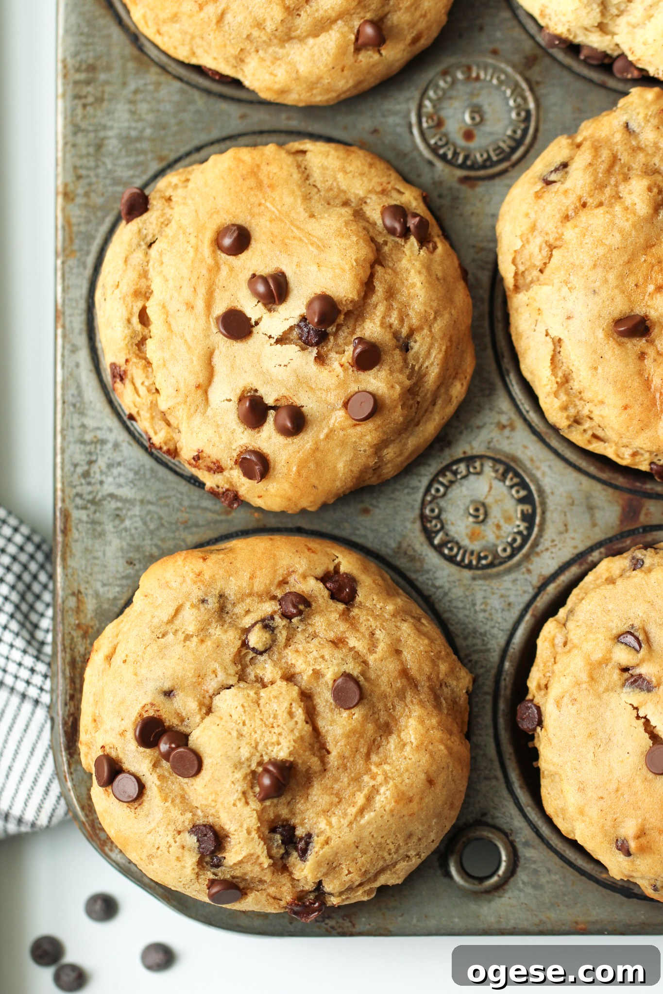 Paleo Chocolate Chip Protein Muffins for Breakfast or Snack 3 Paleo Protein Chocolate Chip Muffins - A gluten-free, dairy-free recipe with a nut-free option! EASY breakfast, lunch, or snack item with protein in it. Kid-approved and freezer-friendly!