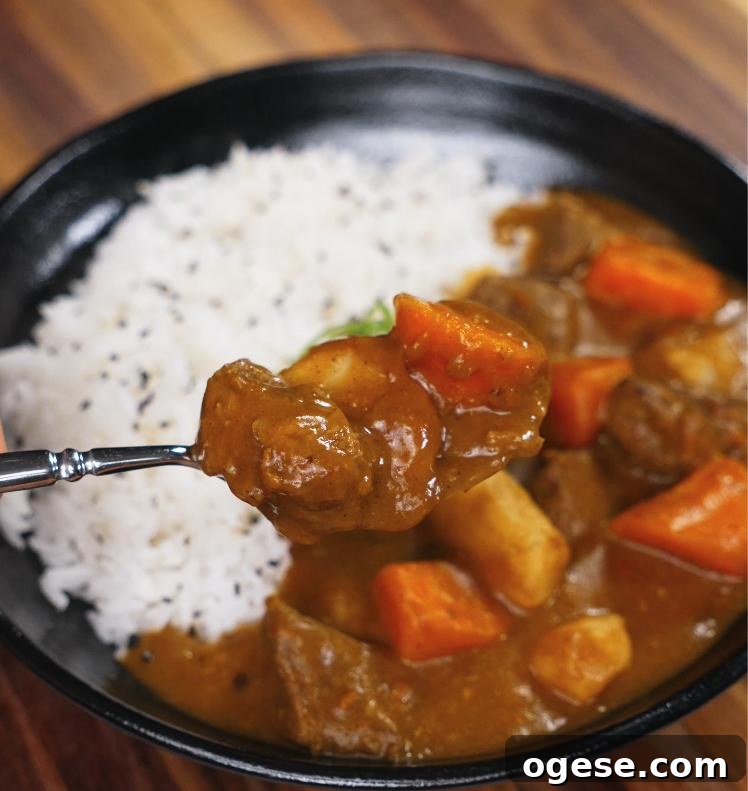 Authentic Japanese Beef Curry Recipe: Rich, Slow-Simmered Stew 3 A spoonful of Japanese beef curry is lifted from the bowl, showing tender chunks of beef, carrot, and potato coated in a luscious curry sauce.