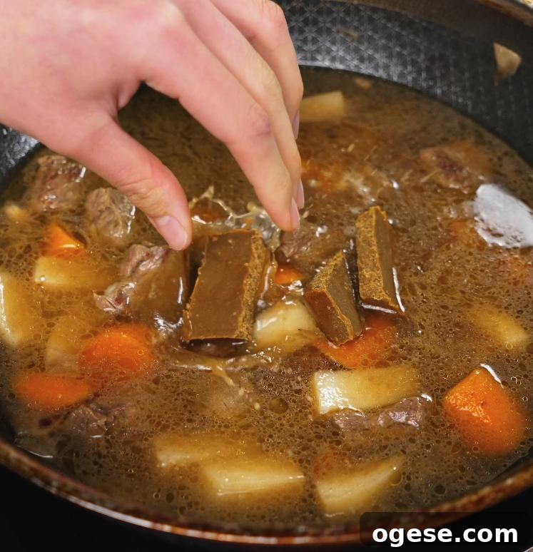 Authentic Japanese Beef Curry Recipe: Rich, Slow-Simmered Stew 5 Curry roux blocks are being added into the simmering mixture of beef, potatoes, and carrots, where they will dissolve and thicken the Japanese curry.