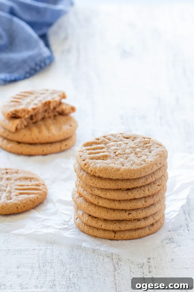 kraft peanut butter cookies