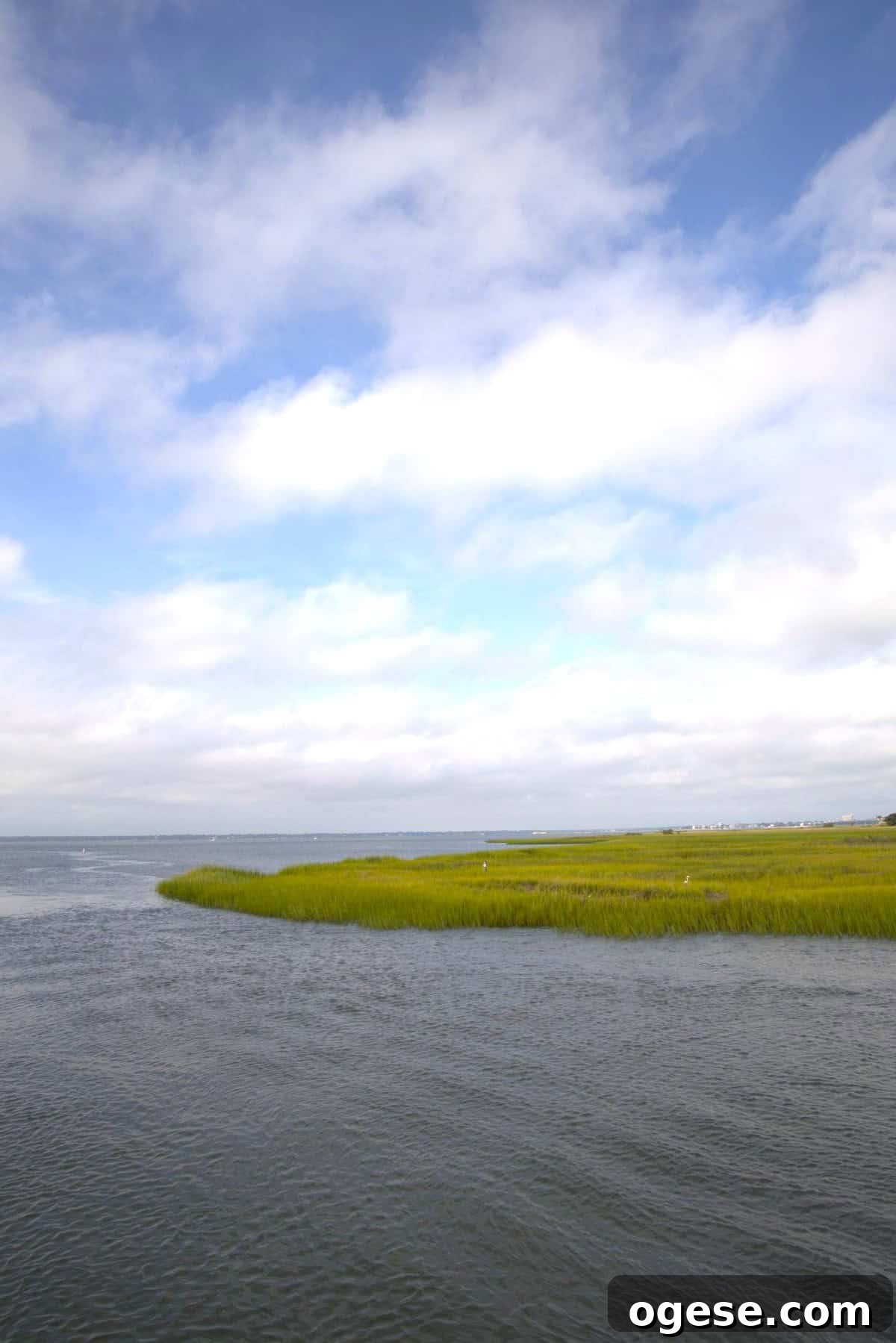 Charleston Travel Guide: Top Attractions, Food & Historic Tours 11 A calm body of water meets grassy marshland under a partly cloudy sky, capturing the serene beauty often highlighted in a Charleston travel guide.