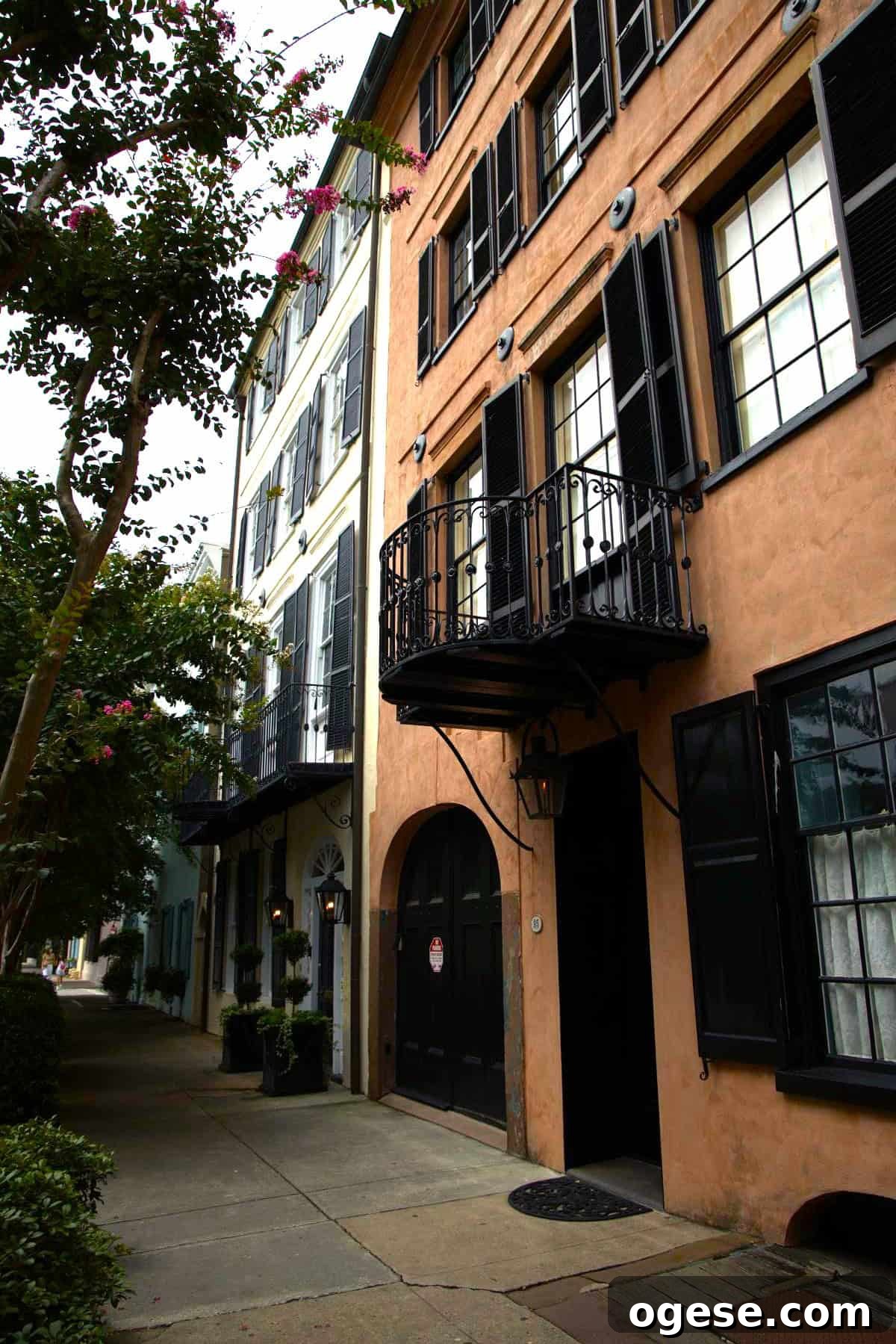 Charleston Travel Guide: Top Attractions, Food & Historic Tours 6 A sidewalk lined with historic, colorful row houses featuring black shutters, large windows, balconies, and potted plants—a classic scene from any Charleston travel guide.