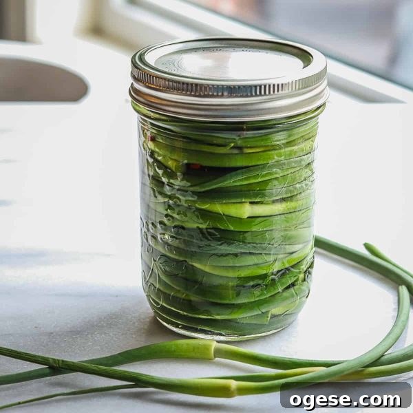 Crisp Garlic Scape Refrigerator Pickles You Can Make Today 4 Pickled garlic scapes in a mason jar.