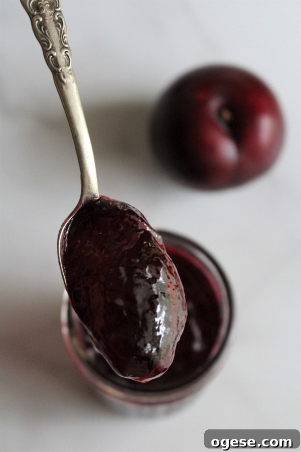 Plum Jelly