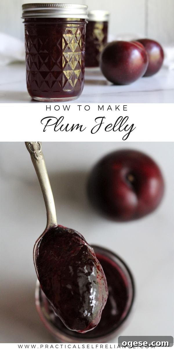 How to Make Plum Jelly ~ Learn how to make homemade plum jelly with just two ingredients, no pectin added!
