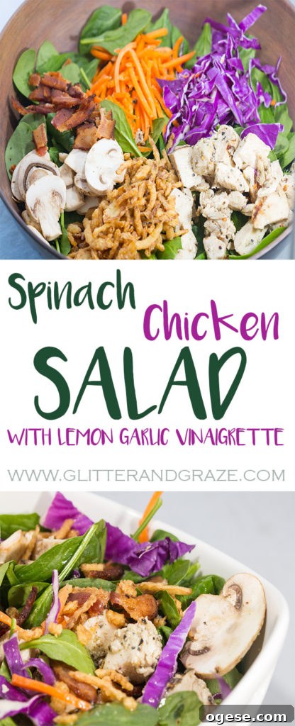 Spinach and Grilled Chicken Salad with Warm Bacon Vinaigrette 8 Spinach Salad with lemon garlic vinaigrette