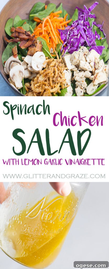 Spinach and Grilled Chicken Salad with Warm Bacon Vinaigrette 9 Spinach Salad with lemon garlic vinaigrette