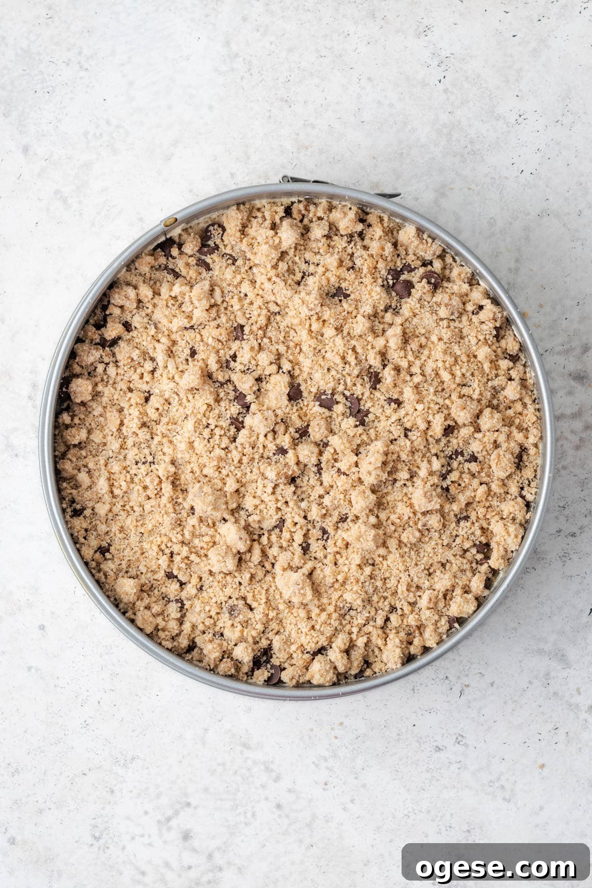 Chocolate chip coffee cake batter spread into a springform pan and topped with more chocolate chips and streusel topping.