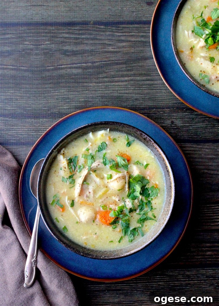 Instant Pot Chicken and Dumplings – Paleo, Gluten & Dairy Free 2 instant pot chicken & dumplings