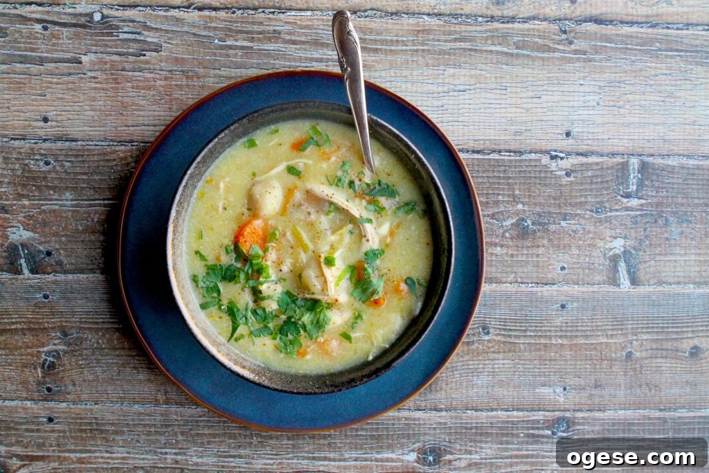 Instant Pot Chicken and Dumplings – Paleo, Gluten & Dairy Free 3 instant pot chicken & dumplings