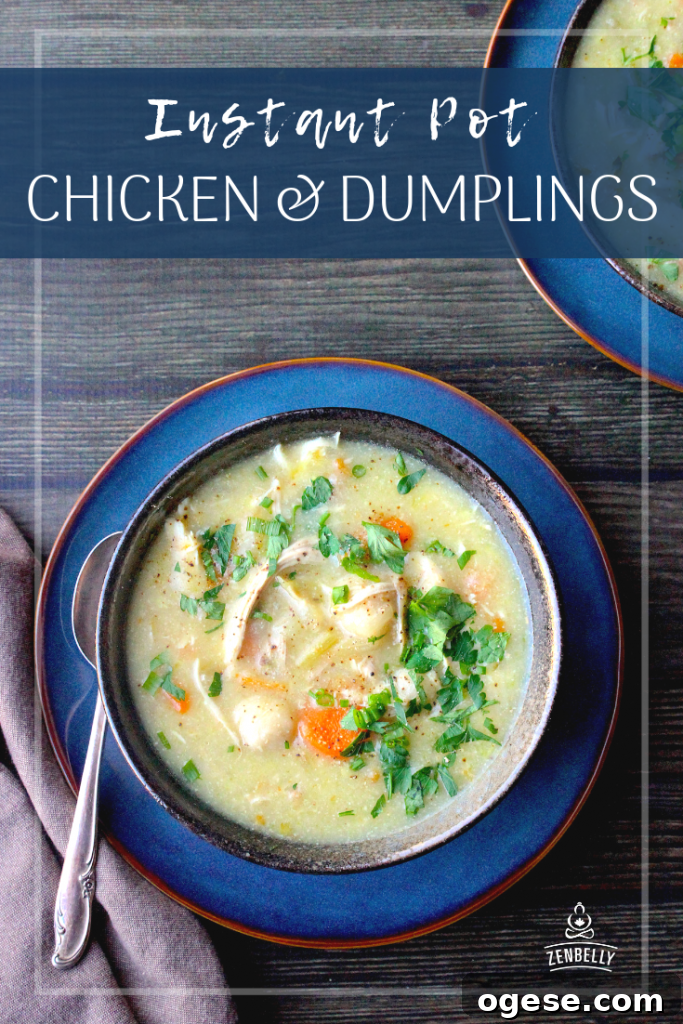 Instant Pot Chicken and Dumplings – Paleo, Gluten & Dairy Free 4 instant pot chicken & dumplings