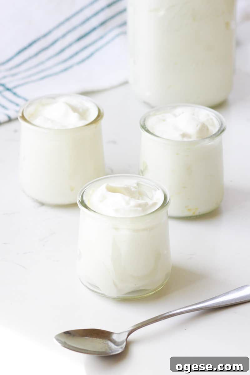 small glass jars with homemade plain yogurt in them and a spoon laying next to them