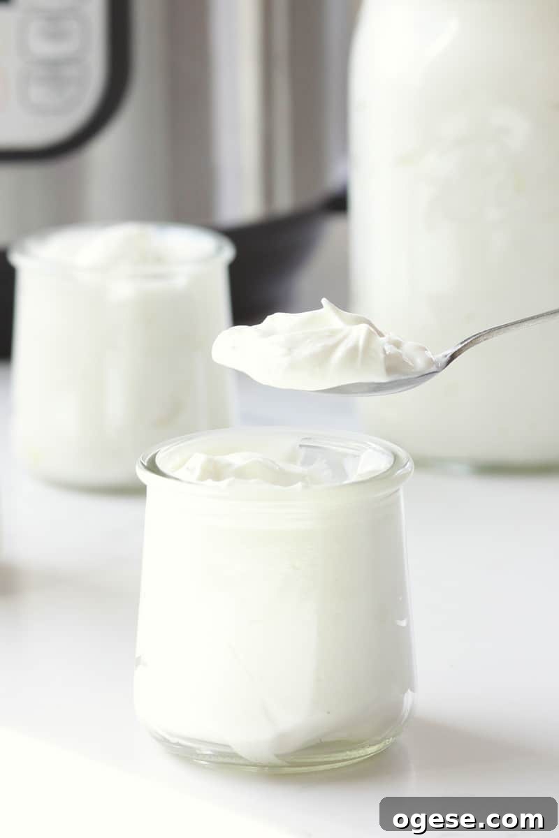 small glass jars with homemade plain yogurt in them and a spoon laying next to them