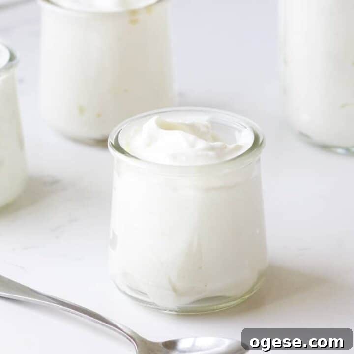 small glass jars with homemade plain yogurt in them and a spoon laying next to them