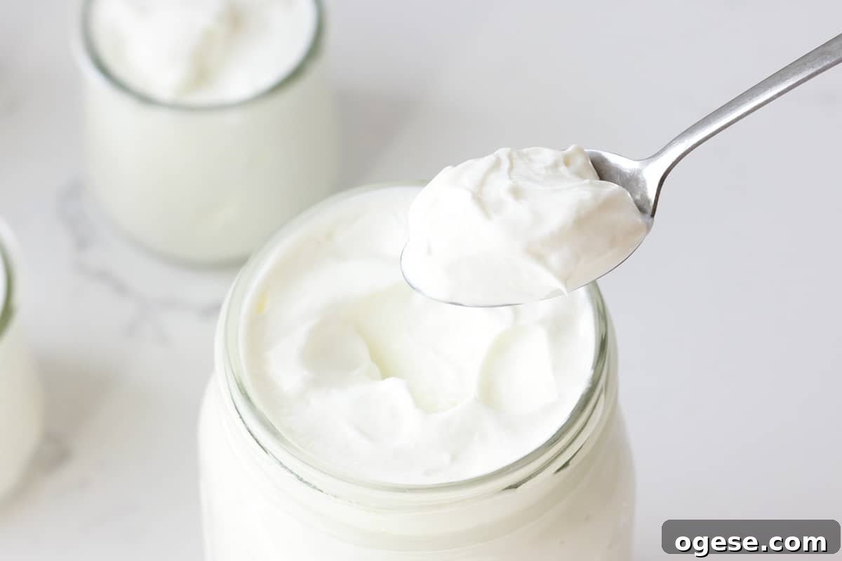a spoonful of creamy plain yogurt held over a jar full of homemade yogurt
