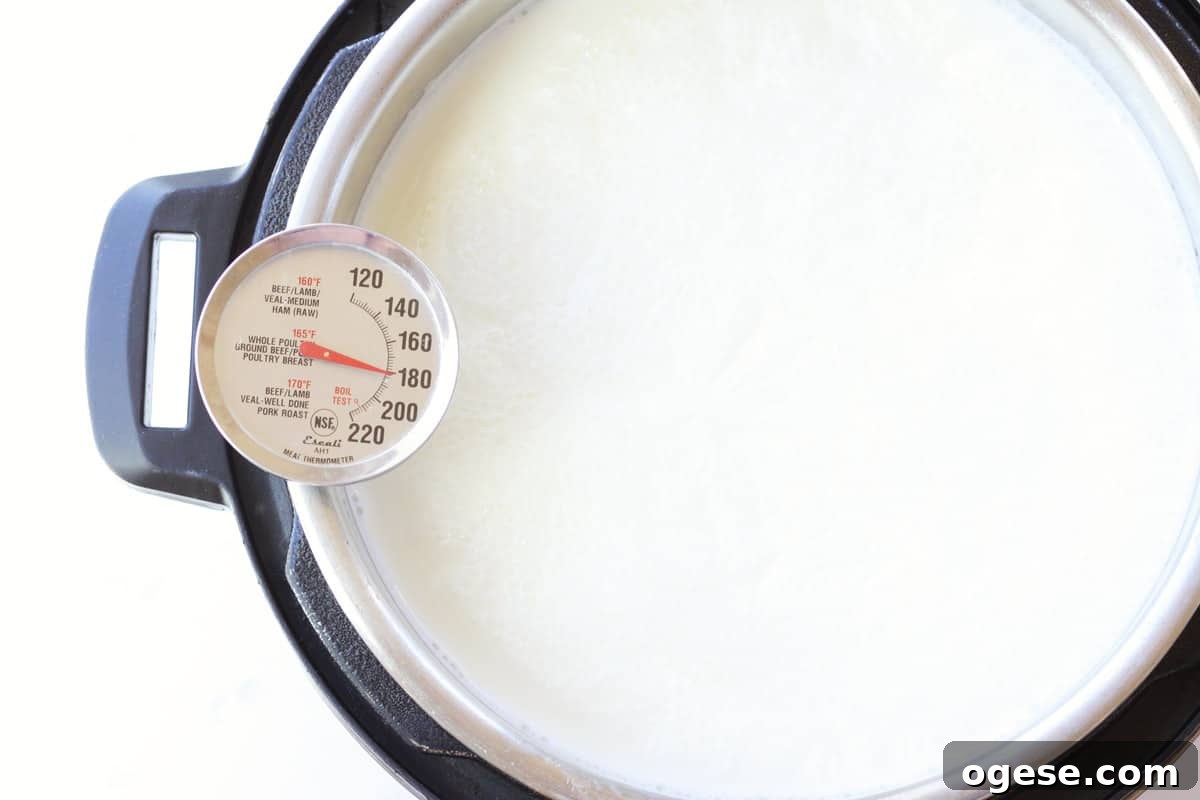 an instant pot of milk with a thermometer that reads 180 degrees