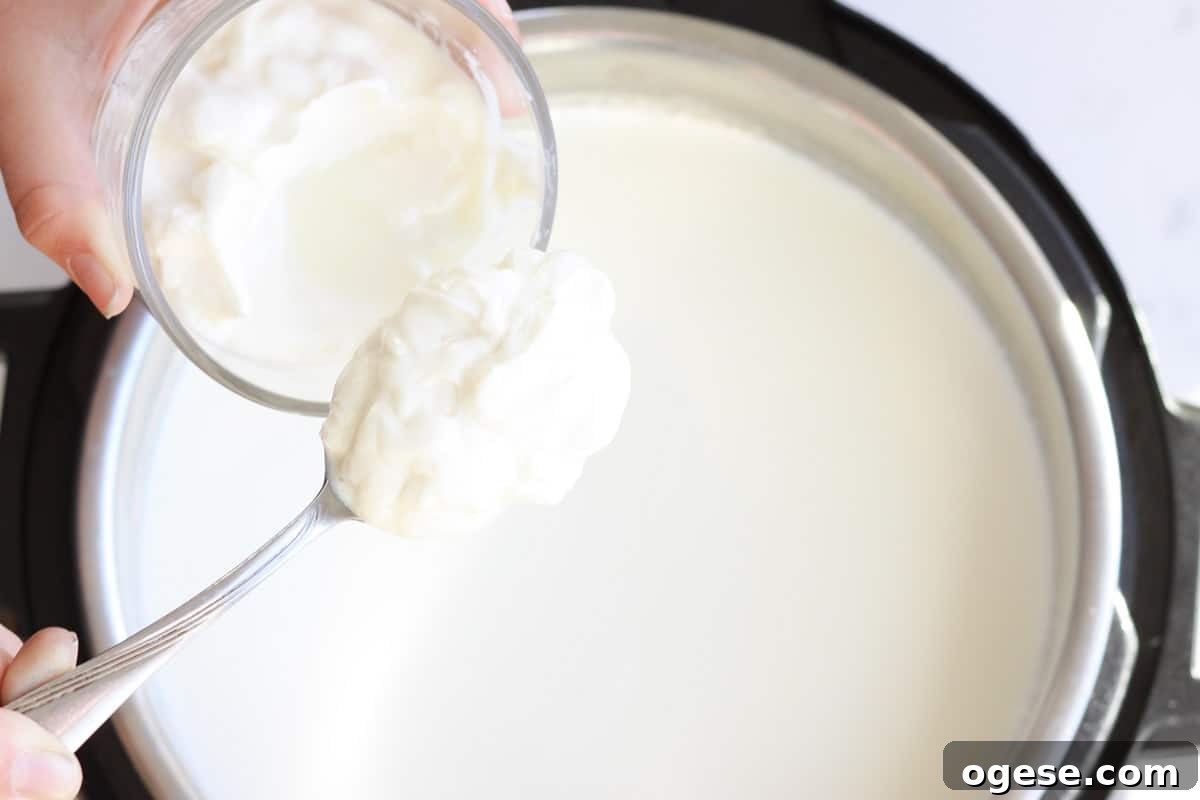 a spoonful of plain yogurt being poured into a bowl of milk in an instant pot