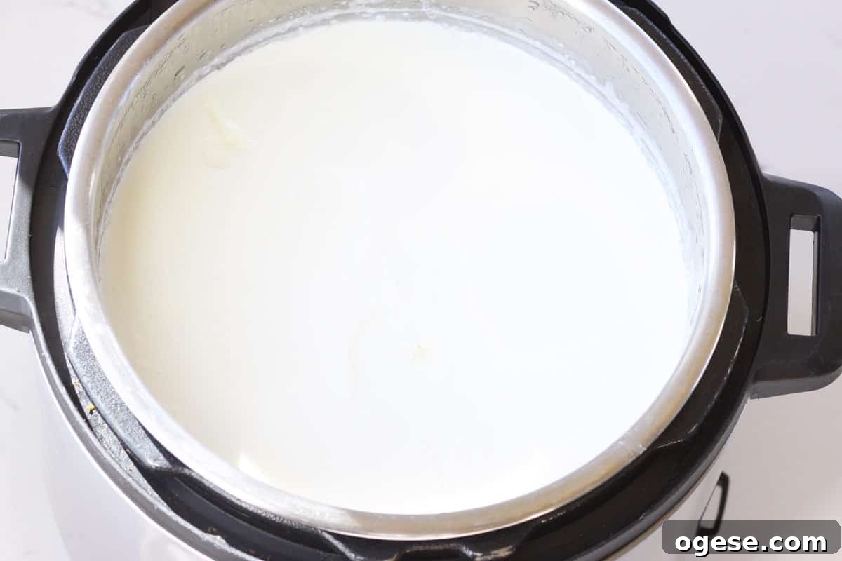 an instant pot of homemade yogurt