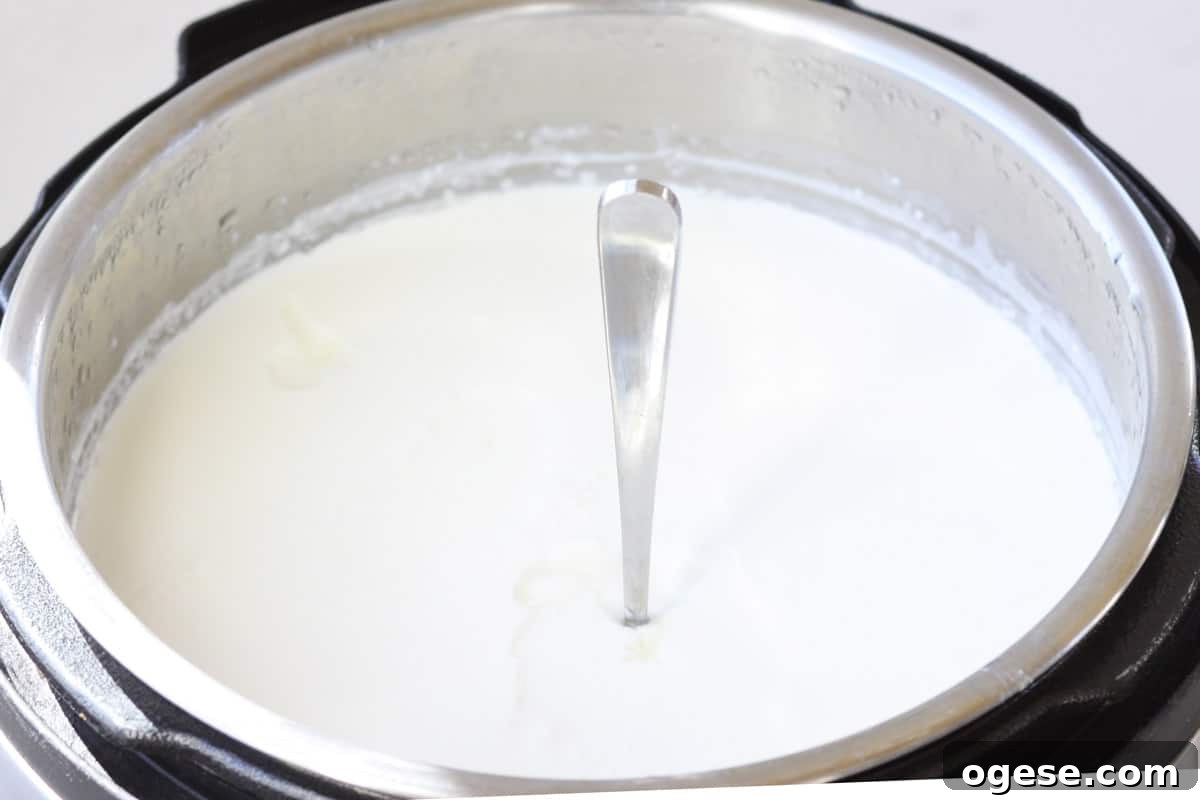 an instant pot of homemade yogurt witha spoon stuck in it to show how thick it is