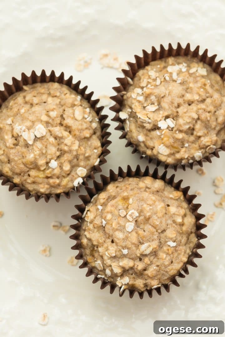 Vegan Banana Oat Muffins: Moist Plant-Based Breakfast Treats 2 Vegan Banana Oat Muffins