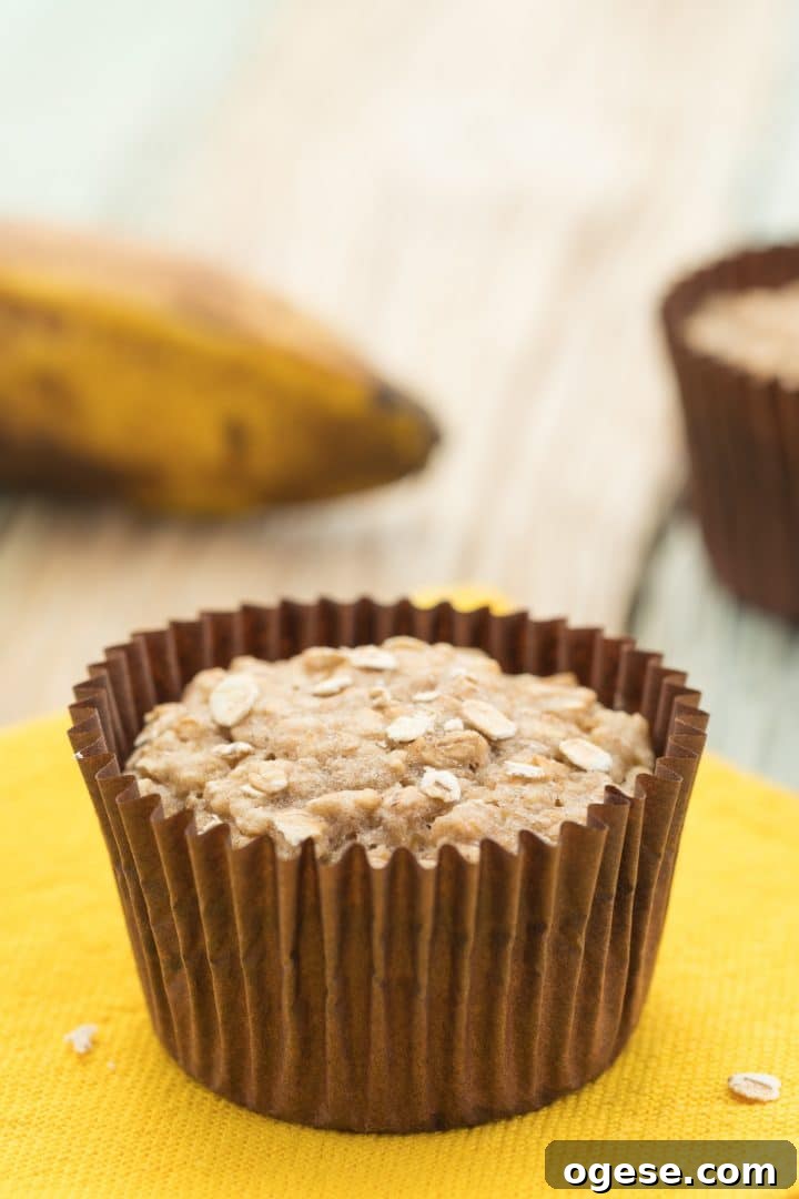 Vegan Banana Oat Muffins: Moist Plant-Based Breakfast Treats 3 healthy banana muffins for babies and toddlers