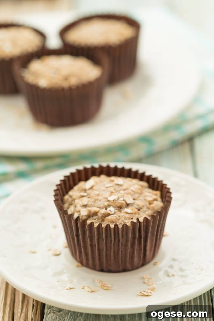 Vegan Banana Oat Muffins: Moist Plant-Based Breakfast Treats 4 egg-free banana oatmeal muffins