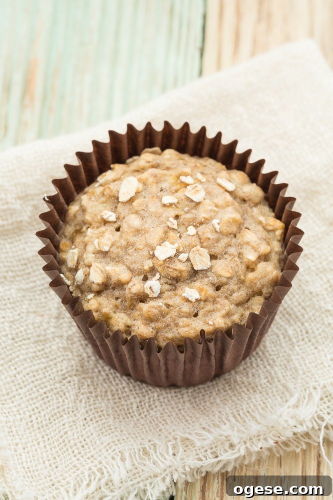 Vegan Banana Oat Muffins: Moist Plant-Based Breakfast Treats 5 Banana Muffins with Oatsmeal