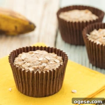 Vegan Banana Oat Muffins: Moist Plant-Based Breakfast Treats 6 img 1482 5